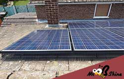 pidgeon proof solar panel bird guards bedfordshire