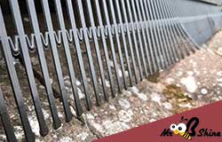solar bird guards bedfordshire